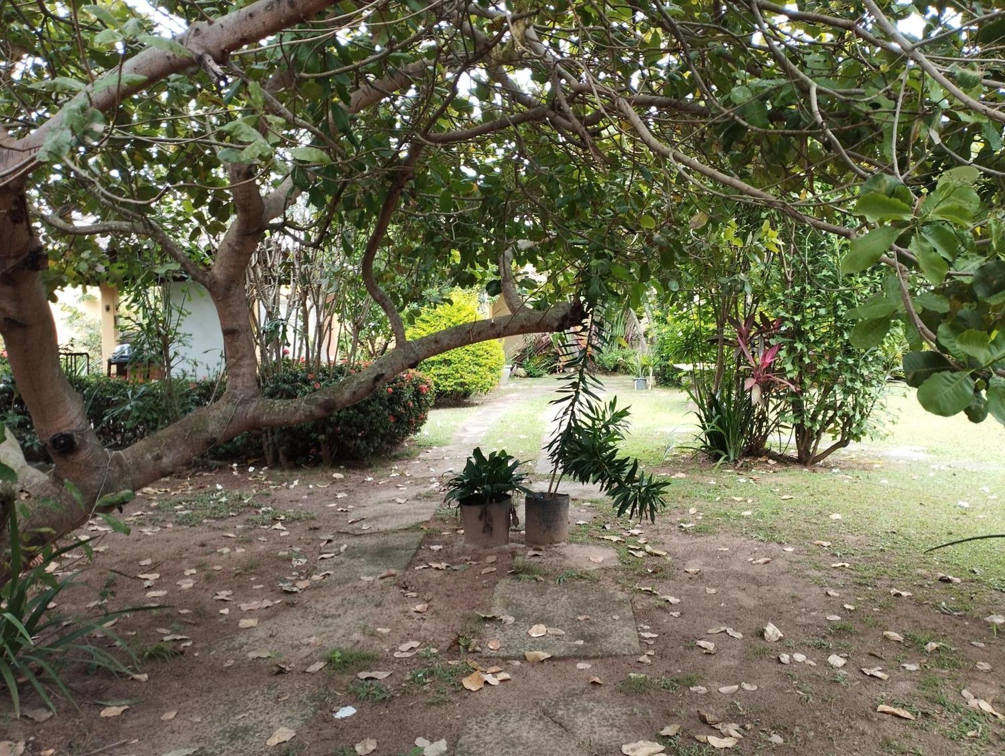 Lumiar Garden Suites E Chales Em Vilas Do Atlantico Lauro de Freitas Zewnętrze zdjęcie