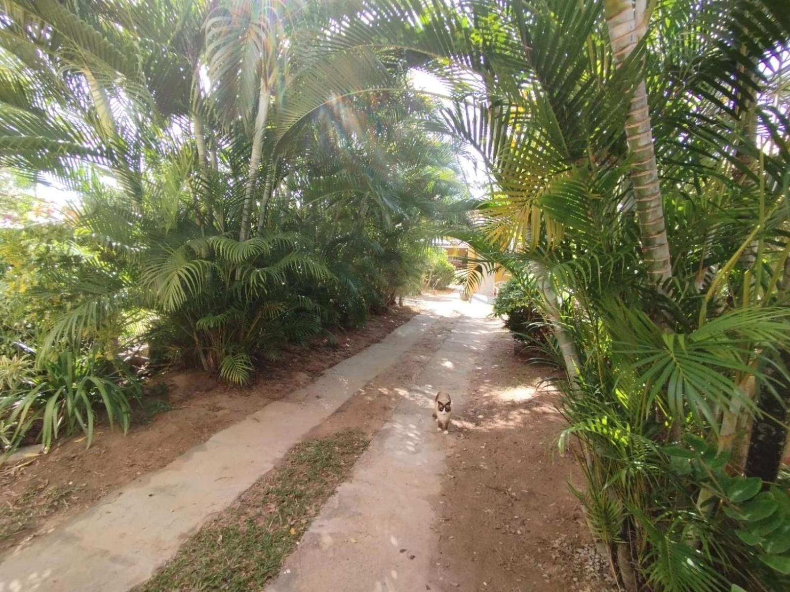 Lumiar Garden Suites E Chales Em Vilas Do Atlantico Lauro de Freitas Zewnętrze zdjęcie